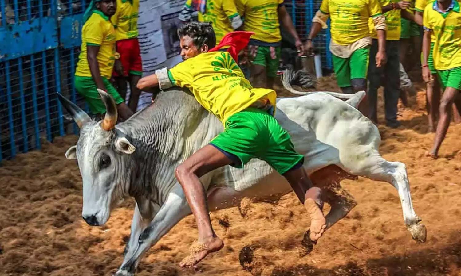 மதுரையில் நடைபெறும் ஜல்லிக்கட்டு போட்டிக்கான தேதிகள் அறிவிப்பு